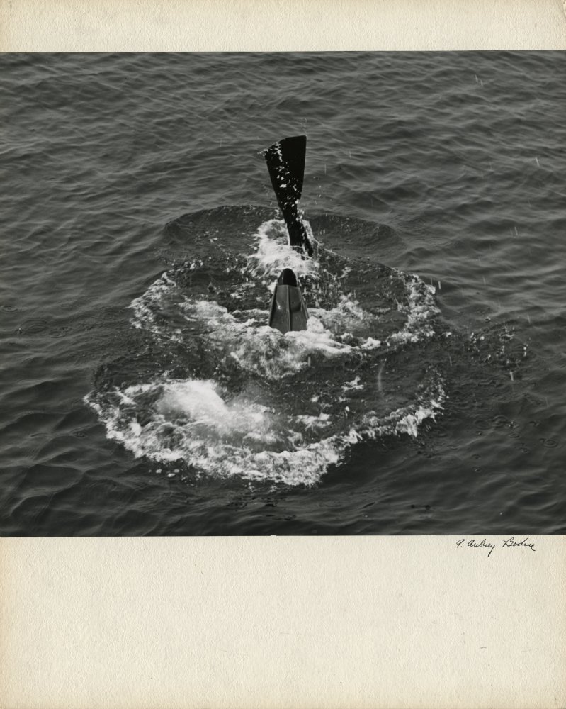 Click for larger image